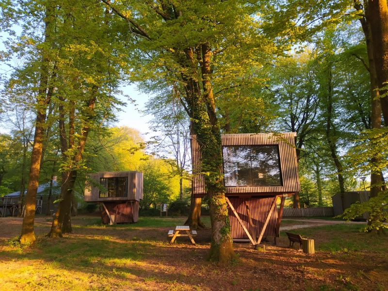 Cabane Dans Les Arbres Saint Sever Calvados
